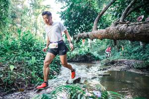 BIB: 
                            <button type="button" onclick="openModal(25433576)" class="btn btn-primary btn-sm float-right btn-popup" data-toggle="modal" data-target=".modal-high-quality">
                        <i class="fas fa-shopping-cart"></i> Add to Cart
                    </button>
                                            <button type="button" onclick="isThisMe(25433576, true)" class="btn btn-success btn-sm float-right btn-popup btn-isme hidden" data-toggle="tooltip" data-placement="bottom" title="นี่คือรูปของคุณใช่ไหม คลิกที่นี่เพื่อเอาเข้าอัลบั้ม">
                        <i class="fas fa-plus"></i> Add to album
                    </button>
                    <button type="button" onclick="isThisMe(25433576, false)" class="btn btn-warning btn-sm float-right btn-popup btn-isnotme hidden">
                        <i class="fas fa-ban"></i> Remove from album
                    </button>